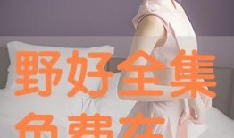 在线观看好,在线观影新体验